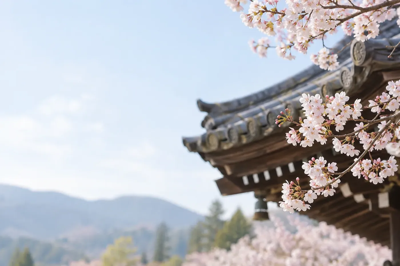 桜ごしの本堂の屋根と遠くの山なみ