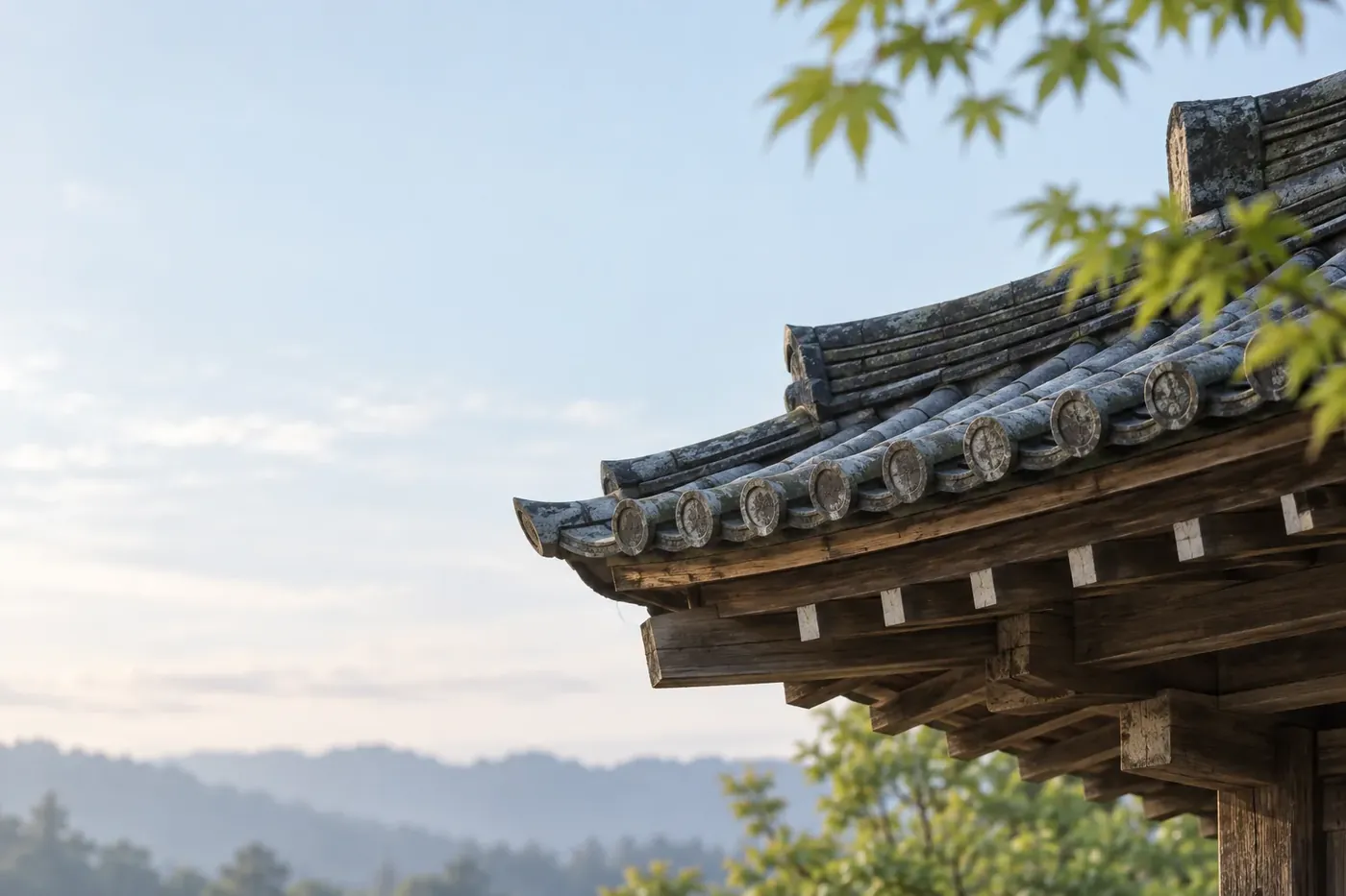 寺院の屋根の軒先と遠くの山なみ